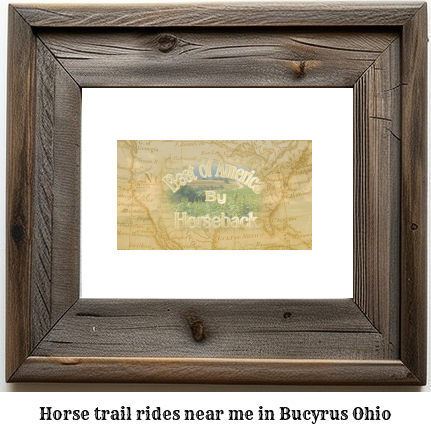 horse trail rides near me in Bucyrus, Ohio